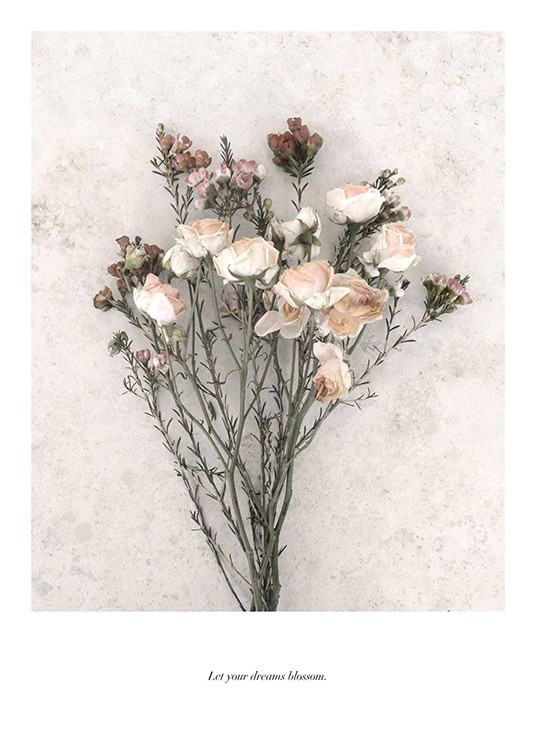 Let Your Dreams Blossom Poster Gedroogd boeket Desenio.be